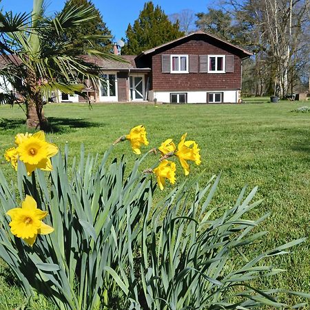 Domaine Des Ifs Panzió Le Pin Kültér fotó