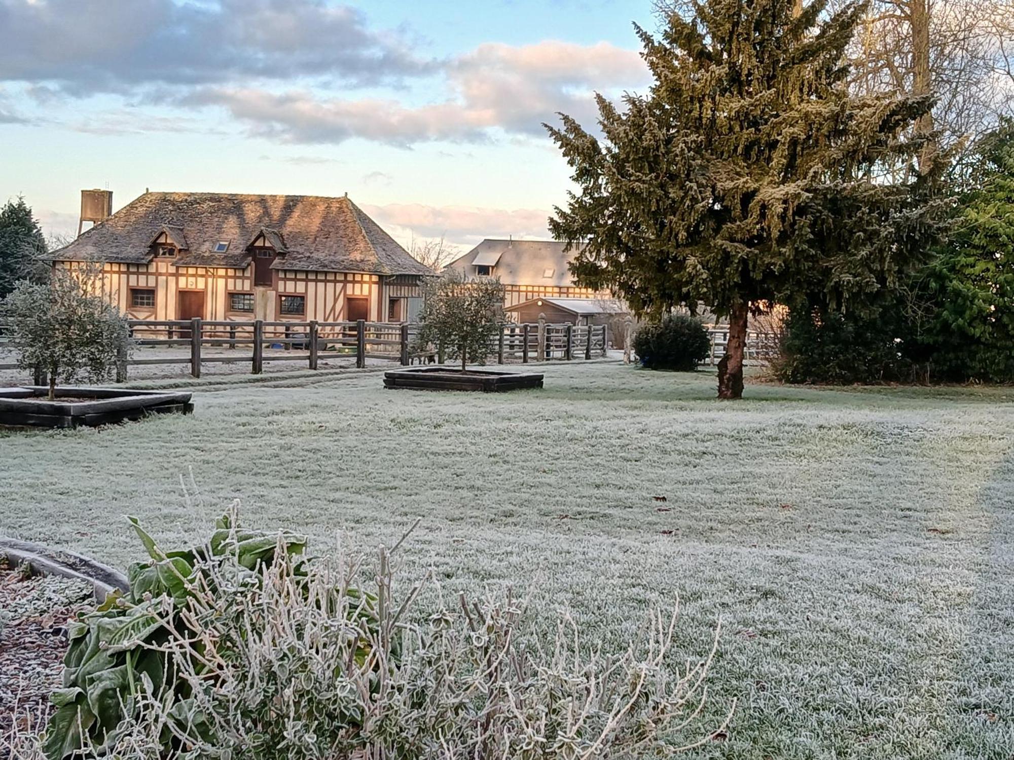 Domaine Des Ifs Panzió Le Pin Kültér fotó