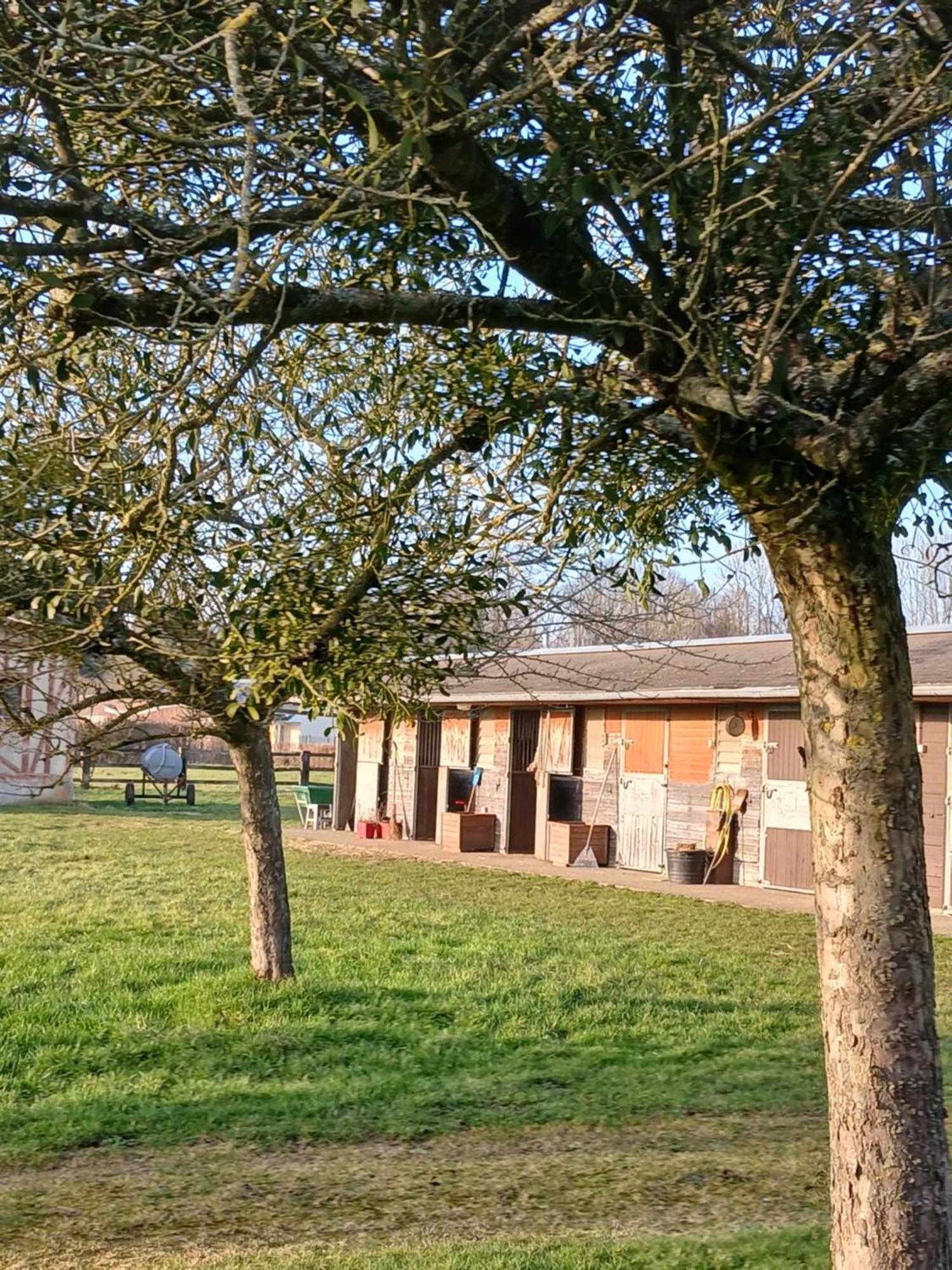 Domaine Des Ifs Panzió Le Pin Kültér fotó