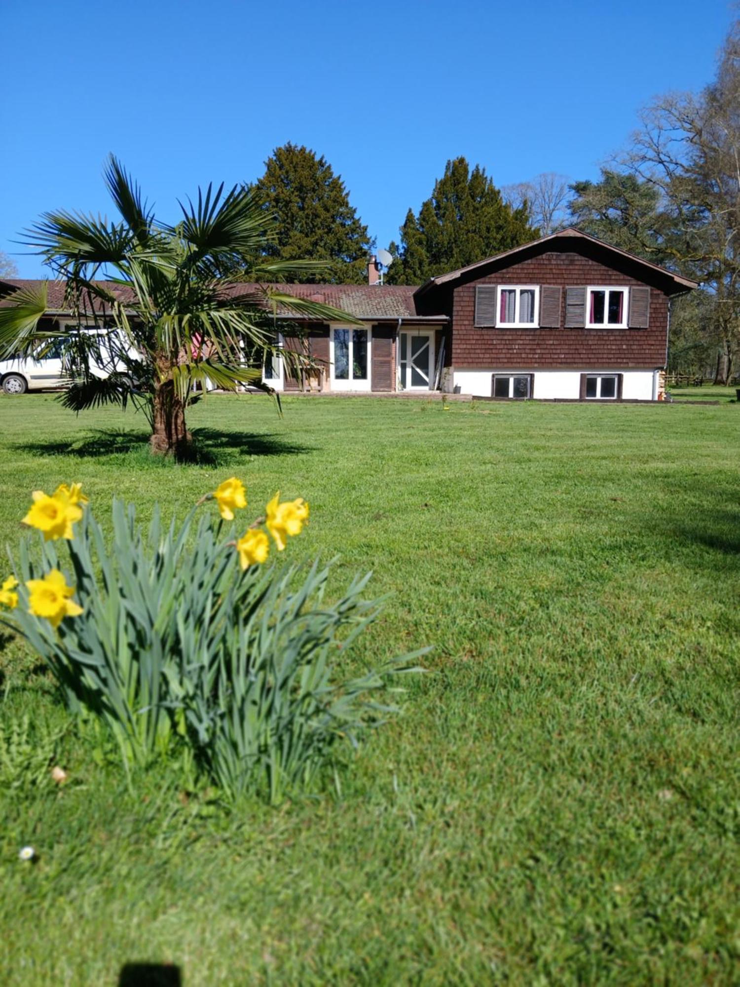 Domaine Des Ifs Panzió Le Pin Kültér fotó