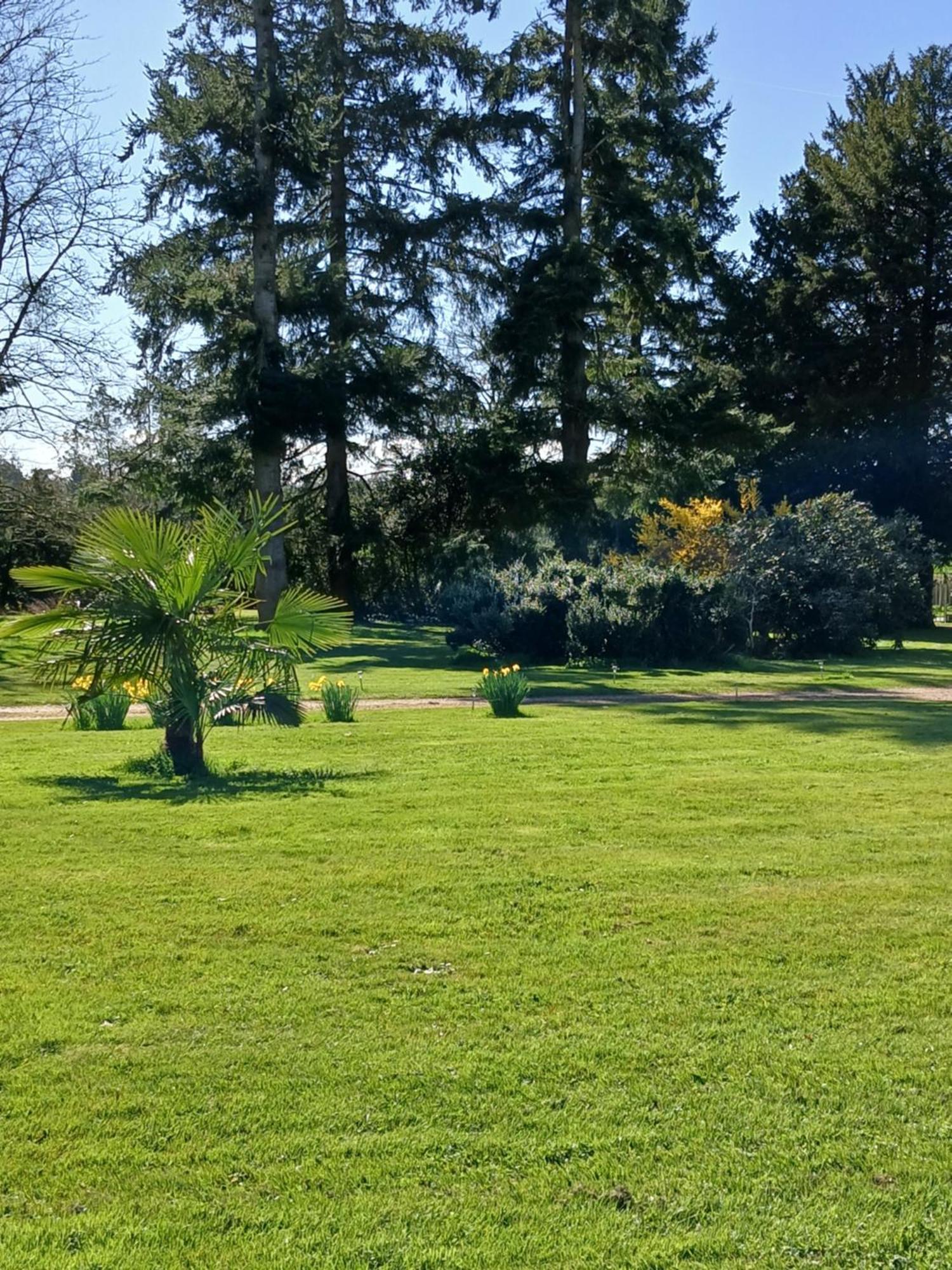 Domaine Des Ifs Panzió Le Pin Kültér fotó