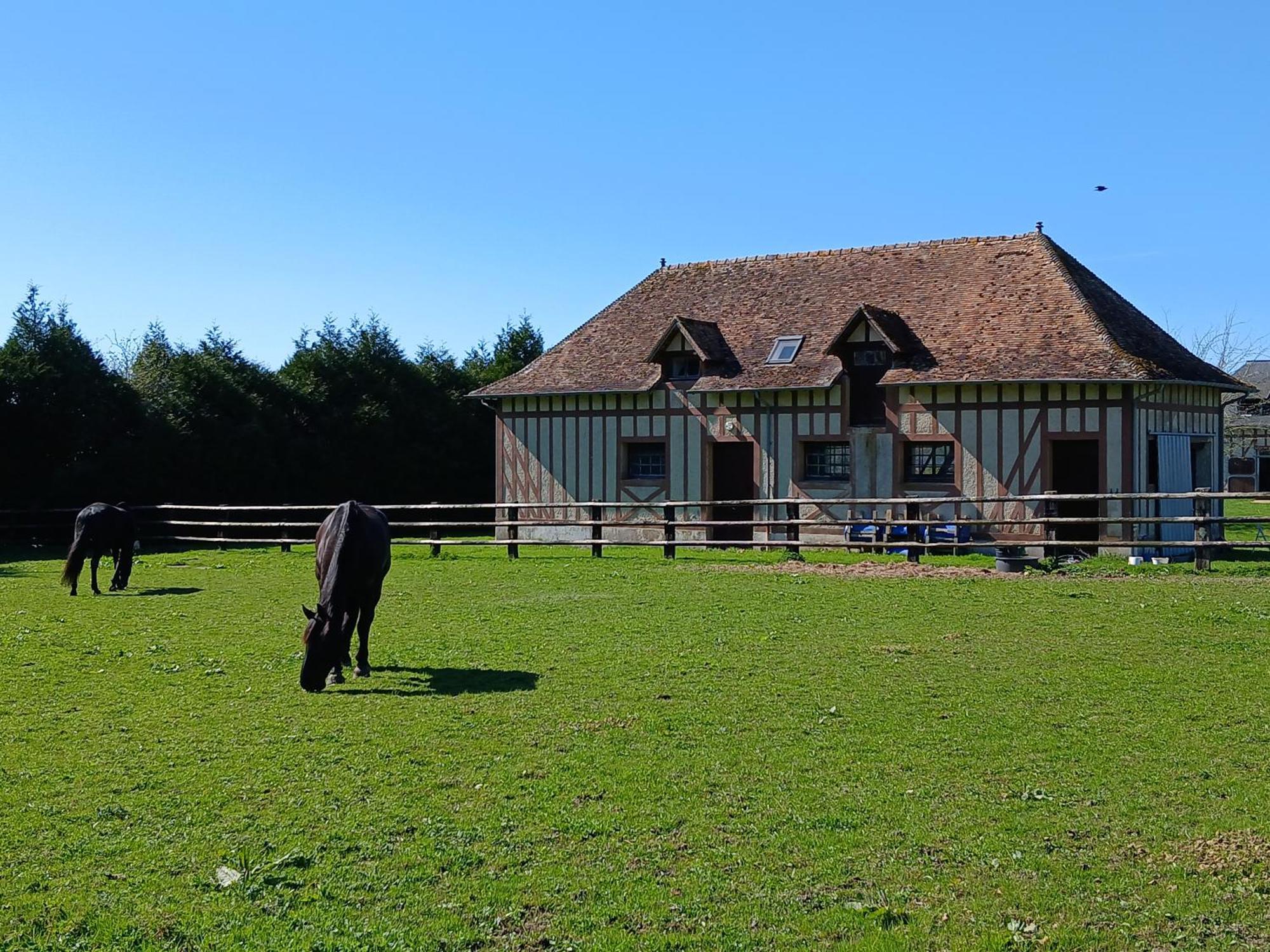 Domaine Des Ifs Panzió Le Pin Kültér fotó